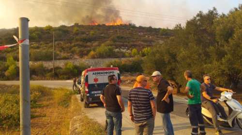 Λιγότερες το 2019 οι καμένες δασικές εκτάσεις