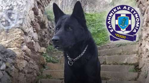 Η ΕΛΑΣ αποχαιρετά τον Blacky - Το γενναίο λυκόσκυλο-φύλακα