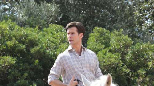 Αγριες Μέλισσες: Το ένοχο μυστικό του Νικηφόρου είναι ένα... περουκίνι