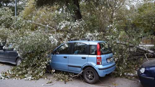 Επεσαν δέντρα και καταπλάκωσαν αυτοκίνητα στη Θεσσαλονίκη  [Εικόνες]