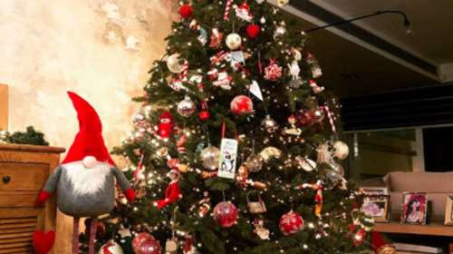 Τα δέντρα των διάσημων: Πώς στόλισαν Νομικού, Μαγγίρα και Χρουσαλά