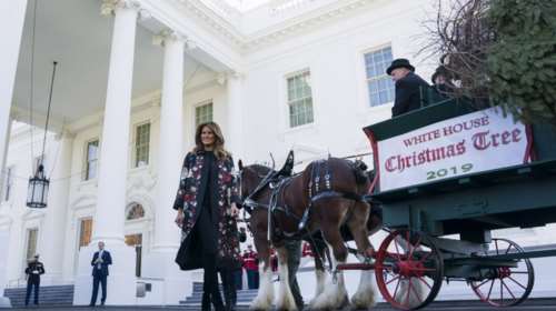 Η Μελάνια Τραμπ υποδέχεται το τεράστιο δέντρο σε ...live streaming