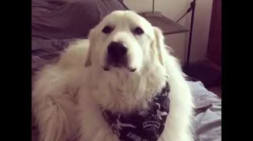 Viral: O Wriggly συζητά για τη ζωή και το... μέλλον του!