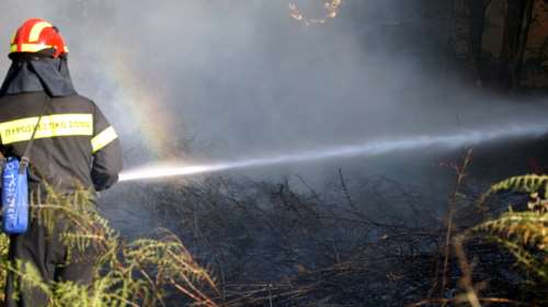 Περισσότερες πυρκαγιές αλλά λιγότερες καμμένες εκτάσεις φέτος