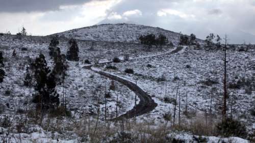 Πρόβλεψη Καλλιάνου: Πέφτει και άλλο η θερμοκρασία - έρχονται χιόνια