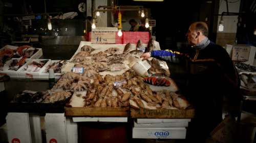 Τρώμε γαλέο ή μπλε καρχαρία;- Τι αποκαλύπτει νέα έρευνα στην ελληνική αγορά