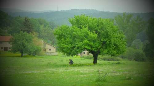 Ο κρυφός κήπος της φωτογράφου Ένης Κούκουλα