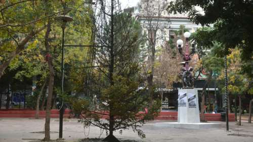 Αυτό απέμεινε από το Χριστουγεννιάτικο δέντρο στα Εξάρχεια- Ενα κουφάρι...