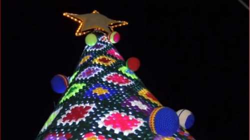 Ενα εντυπωσιακό δέντρο στην Ζάκυνθο: Είναι όλο πλεκτό!