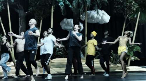 Για δυο μόνο ημέρες Ορνιθες του Νίκου Καραθάνου στη Στέγη