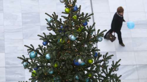 Ανακύκλωση των χριστουγεννιάτικων δένδρων;- Και όμως γίνεται...