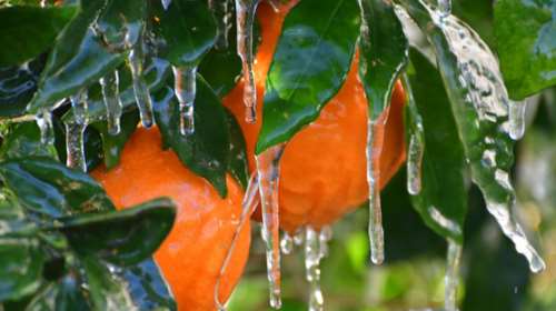 Παραμένουν οι χαμηλές θερμοκρασίες, 7 μποφόρ στο Αιγαίο