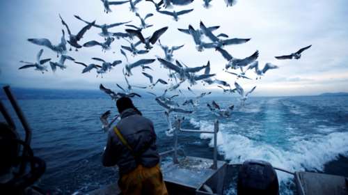 Brexit: Η Βρετανία φεύγει - Ο «πόλεμος του μπακαλιάρου» έρχεται