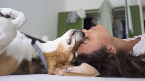 Πως αντιλαμβάνεται κάθε ζώδιο την αγάπη - Τι κάνει το κάθε ζώδιο όταν αγαπά