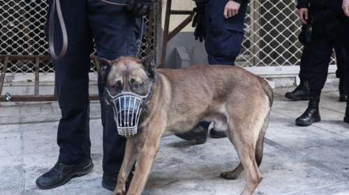 Περιπολίες με σκύλους στα Εξάρχεια- Το νέο στίλ αστυνόμευσης της περιοχής