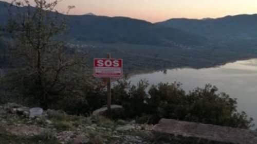 Πινακίδα για να πατήσεις κόρνα και να ταΐσεις μια αδέσποτη σκυλίτσα!