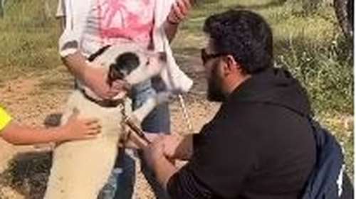 Μια μοναδική ιστορία επανασύνδεσης: Συνάντησε ξανά τη χαμένη του οικογένεια μετά από 3,5 χρόνια στο κλουβί μιας πανσιόν [Βιντεο]