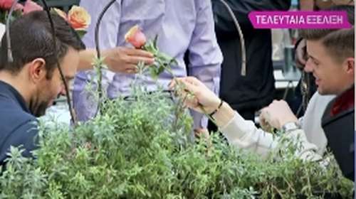 Στέφανος Κασσελάκης: Το τριαντάφυλλο που προσέφερε στον Τάιλερ και το ποσό που έδωσε στην πλανόδια πωλήτρια