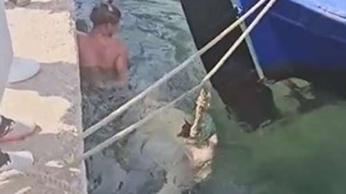 Ανάβυσσος: Καρέτα καρέτα διέκοψε γύρισμα ταινίας... ερωτικού περιεχομένου - Τι συνέβη [βίντεο]