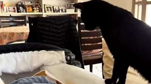 Η Αντιγόνη Κουλουκάκου φωτογραφίζει τον γιο της με το...  &quot;αδερφάκι&quot; του, τον Μόμπι