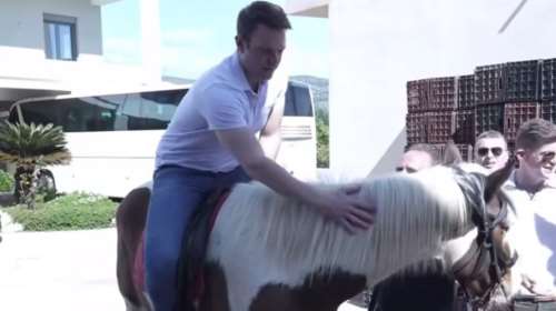 Αργολίδα: Χάρισαν στον Κασσελάκη άλογο και έκανε βόλτα - Στην Γιορτή του Μανταρινιού με τον Τάιλερ [εικόνες]