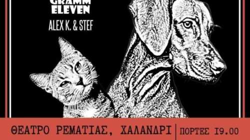 Strays on Stage, συναυλία για να βοηθήσουμε τα αδέσποτα στο ρέμα Χαλανδρίου