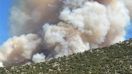Φωτιά στις Φιλιάτες: Ολονύχτια μάχη με τις φλόγες στον Παλαμπά Θεσπρωτίας – Ζητήθηκε η απομάκρυνση των κατοίκων