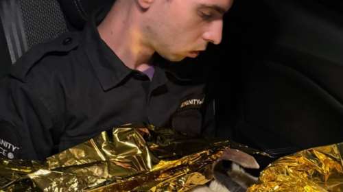 Όταν τα αυτονόητα γίνουν αυτονόητα, ίσως υπάρξει ελπίδα. Κακοποιημένος, αλυσοδεμένος, υποσιτισμένος σκύλος σε αποθήκη με σοβαρά εγκαύματα στη φωτιά της Κορινθίας