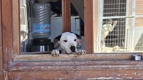 Σίντυ: Συγγνώμη, κάνετε λίγο ησυχία... Κάποιοι προσπαθούμε να κοιμηθούμε εδώ μέσα