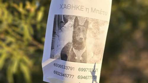 Συνεχίζουμε να ψάχνουμε την Μπέτυ - Εάν τη δείτε μην της μιλήσετε - Καλέστε στα 6936533791 - 6997133221