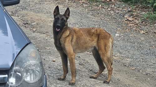 H Λουκία εγκαταλείφθηκε μια μέρα στις άκρες ενός χωριού, στον κεντρικό δρόμο δίπλα στο νεκροταφείο