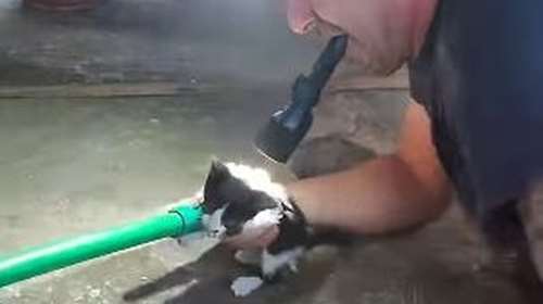 Τρίκαλα: Δείτε την προσπάθεια πυροσβεστών να σώσουν γατάκι που έπεσε σε αποχέτευση - Βίντεο