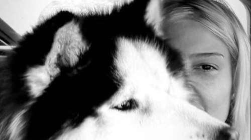 Η απώλεια που δένει τη Φαίη Σκορδά με το λατρεμένο χάσκι: Το ταξίδι από το Κιλκίς στην Αθήνα - Βίντεο