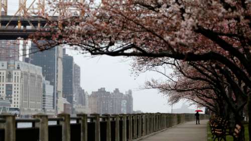 Ξεπέρασαν τους 2.000 οι νεκροί στις ΗΠΑ- Παγκόσμιο κέντρο της πανδημίας η Νέα Υόρκη