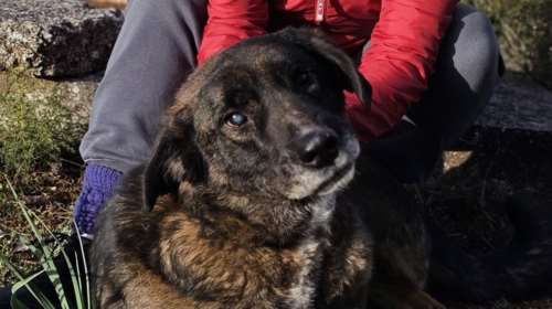 Αν είναι να διαλέξουμε μια ευχή για φέτος είναι να δούμε τον Αντώνη σε ένα σπίτι -  Χάνει το φως του αλλά σε κοιτάει λες και βλέπει