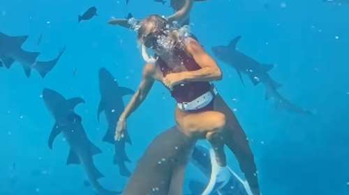 Viral το βίντεο βραζιλιάνας influencer από τις Μαλδίβες που τη δάγκωσε καρχαρίας - Ξεπέρασε τις 18 εκατ. προβολές