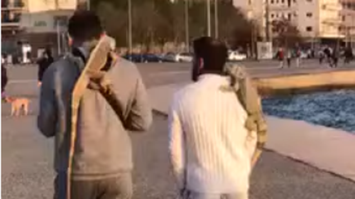 Κορονοϊός: Σαν τη Σαλονίκη δεν έχει - Εβγαλαν βόλτα τα ...ιγκουάνα τους [εικόνα]