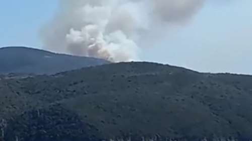 Φωτιά στη Χρυσοκελλαριά Μεσσηνίας: 35 πυροσβέστες με 12 οχήματα στη μάχη για την κατάσβεση της πυρκαγιάς