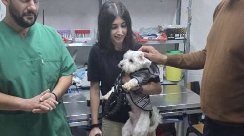 Η Ντίνα Μαγδαλιανίδη ένα από τα παιδιά που επέζησε των Τεμπών έδωσε ευκαιρία ζωής σε σκύλο από καταφύγιο