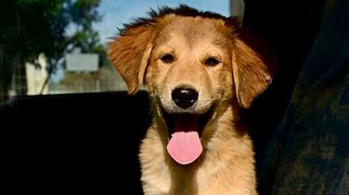 Μπλέξαμε! Ο Μάιλο είναι ο μόνος τρόπος να σταματήσετε να τρώτε βράδυ