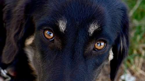 Σάντυ: Εγώ την ελπίδα μου δεν την χάνω... Κάποιος, κάποτε θα ρωτήσει και για μένα