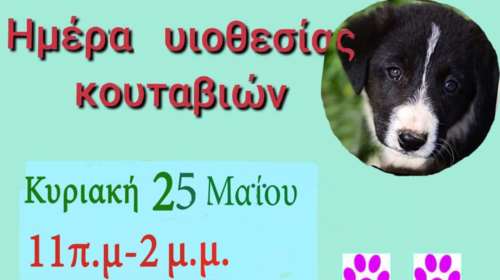 Ημέρα υιοθεσίας κουταβιών στο Λιμανάκι Ν. Μάκρης ή η σύναξη των μπεμπέ - Μια γιορτή γεμάτη μωρουδέλια στις 25 Μαΐου