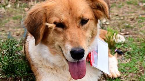 Η Πέγκυ με το χαρακτηριστικό τσουλουφάκι στο ένα της μάτι:  Λοιπόν, θα σας τα πούμε όλα για αυτήν