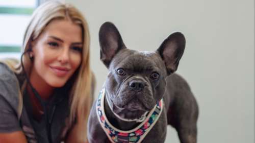 Νέο Κουταβάκι ή Γατάκι; Οδηγός για "Νέους Γονείς" που θέλουν να κάνουν ένα σωστό και ισορροπημένο ξεκίνημα