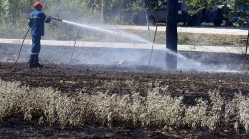 Φωτιά στο Σουφλί: Ξέσπασε μόλις 300 μέτρα από οικισμό - Οι άνεμοι &quot;έσωσαν&quot; τα σπίτια