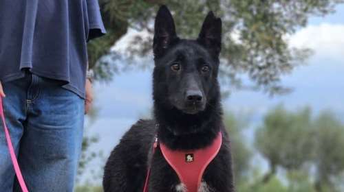 Τη Μπέττυ κανείς δεν την αγάπησε ποτέ, κανείς δεν τη βοήθησε, ούτε στο ελάχιστο