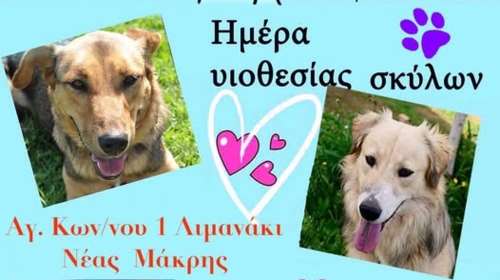 Νέα Ημέρα Υιοθεσίας για τα αδέσποτα την Κυριακή 23 Μαρτίου στο λιμάνι της Νέας Μάκρης