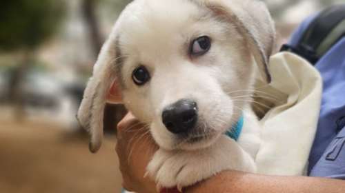 Ο Ντέμης βρέθηκε νεογέννητος σε μια σακούλα σκουπιδιών μαζί με τα αδέρφια του - Τους αξίζει;