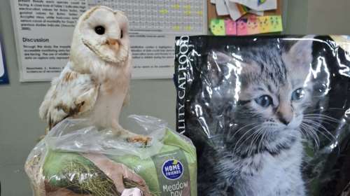 ΑΝΙΜΑ: Θα θέλατε να προσφέρετε κάτι σε είδος για τους φιλοξενούμενούς τους;