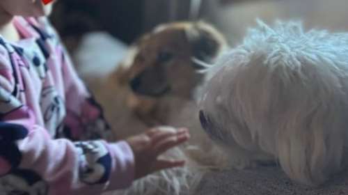 &quot;Το 24 βάλθηκε να σημαδέψει το μέσα μου με πένθος και πόνο&quot; - Οδυνηρός αποχαιρετισμός για την Ιωάννα Μαλέσκου